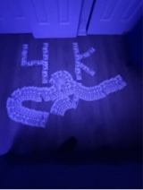 Guest_rexback