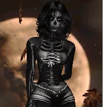 Guest_257zr