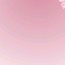 Guest_camxx34566
