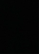 foto del avatar