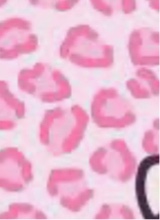 Guest_Aliyah576987