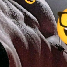 Guest_luiquehendrick1