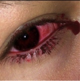 Guest_Milly489355