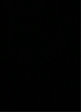 Guest_thavy1