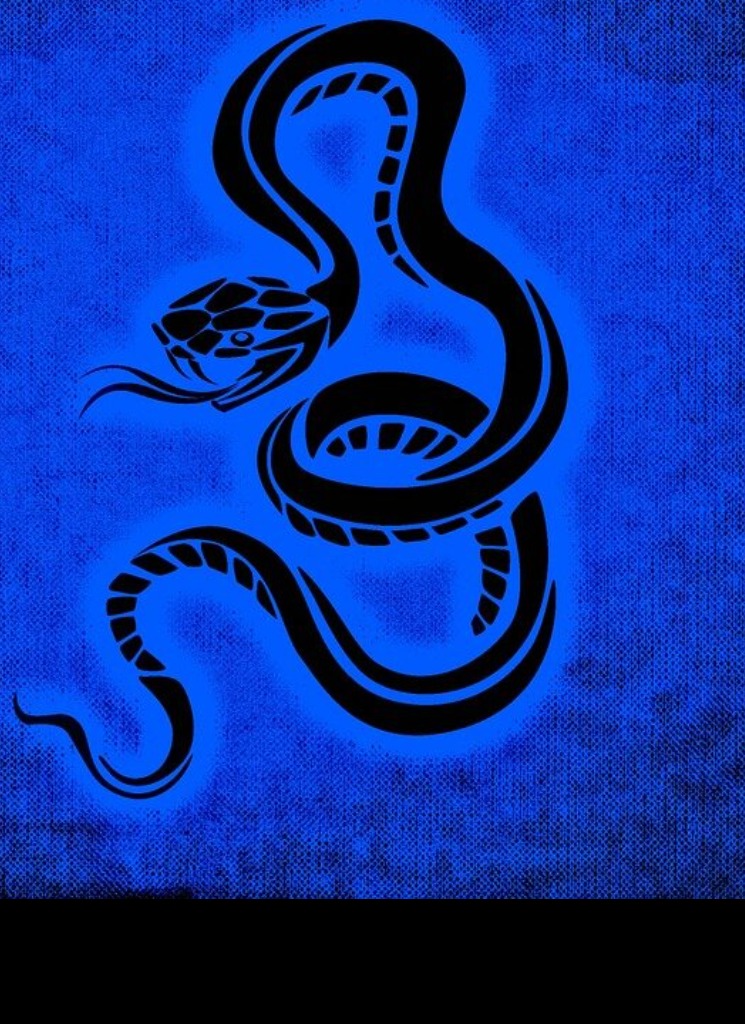 Guest_IseSnake