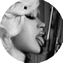 Guest_Dariani4