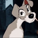 Guest_ethan137978