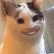 Guest_Jhonnyv4