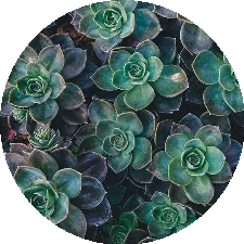 Guest_vjfyjaerrm
