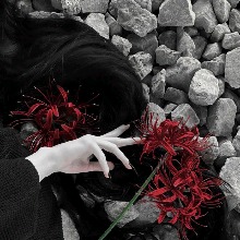Guest_Aka111111111