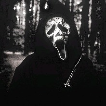 Guest_zedee8