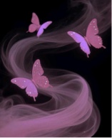 Guest_Amelia472