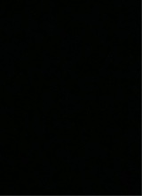 Guest_Cohen10