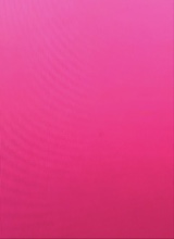 Guest_leya183096