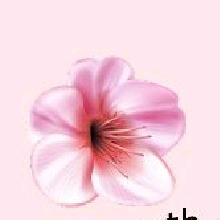 Guest_rosewoodjazzberr2b05