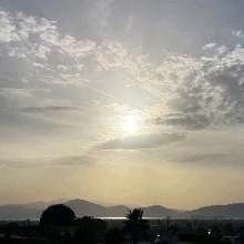 Guest_Violet210044