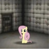 Guest_kaaaa2