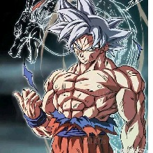 صورة الـavatar