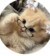 Guest_Yaya399376