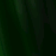 Guest_ShesArt
