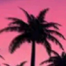Guest_James29566