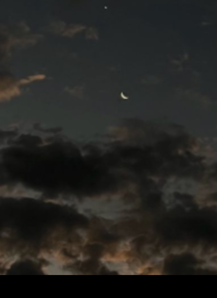 Guest_Lua58952