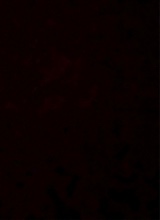 Guest_Ciaraa12