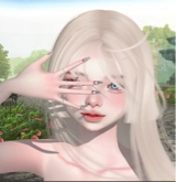 Guest_kya601405