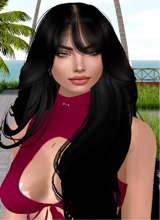 Guest_ia685679