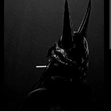 Guest_Picazo2