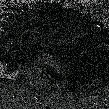 Guest_JuanjoseCabrera