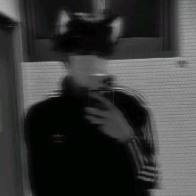 Guest_orchidmsugreenc1b0