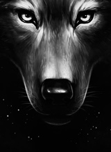 Guest_jbawtheone