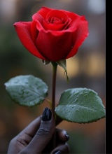 Guest_mary635