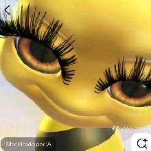 avpic