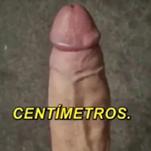 Guest_NovinhoSfd1