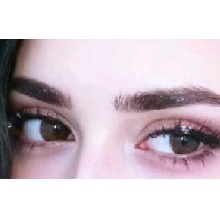 Guest_silentorange9e4f