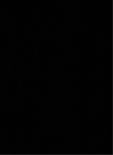 JJ844239