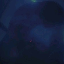 Guest_Maddes