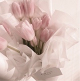 Guest_Liliana967175