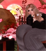 Guest_Alona811981