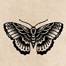 Guest_ana01211