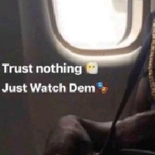 Guest_Naiyi1