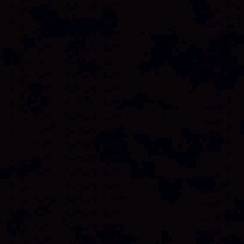 Guest_Wh0Kiaraaa1