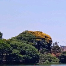 Guest_Filipe3854