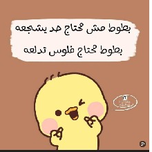 Guest_Sila15