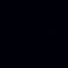 Guest_L876043