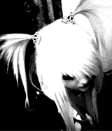 Guest_2low0