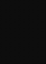 Guest_ins393997