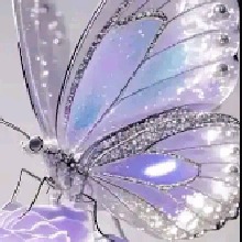 Guest_Ashley892301